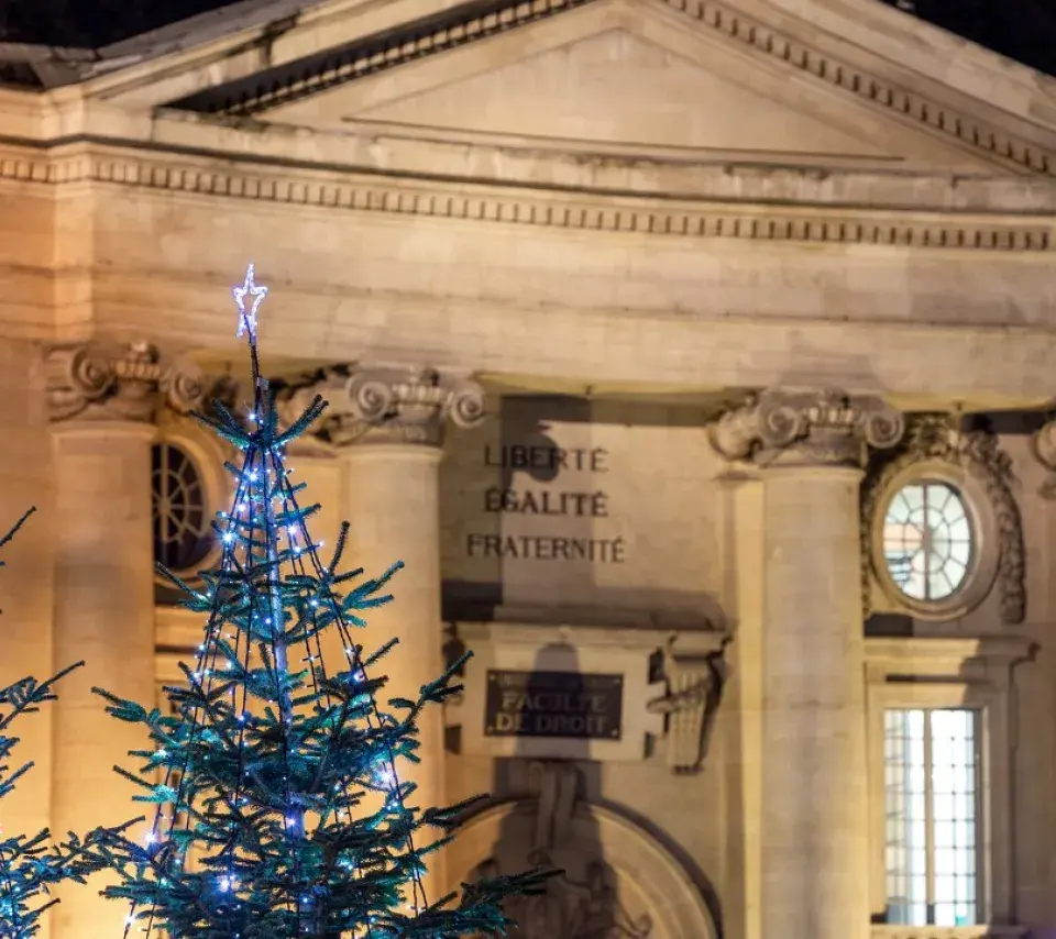 Sapins devant l'entrée du centre Panthéon